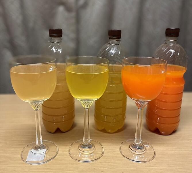 Суздальская медовуха: обычная, имбирная и облепиховая Суздальская медовуха: обычная, имбирная и облепиховая