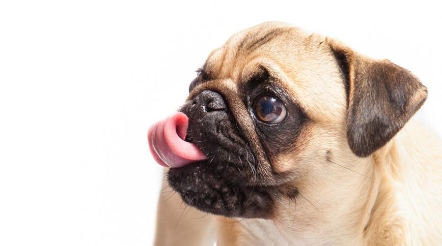 Какими способами можно изучать иностранный язык?