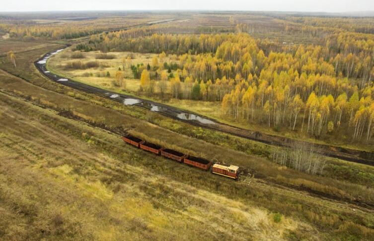 Железная дорога: куда подевались узкоколейки? Железная дорога: куда подевались узкоколейки?