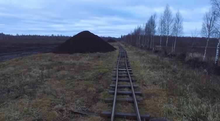 Железная дорога: куда подевались узкоколейки? Железная дорога: куда подевались узкоколейки?