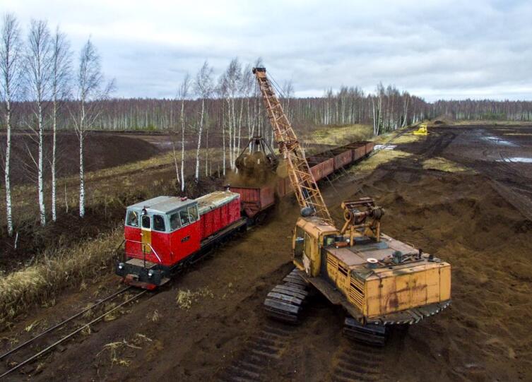 Железная дорога: куда подевались узкоколейки? Железная дорога: куда подевались узкоколейки?