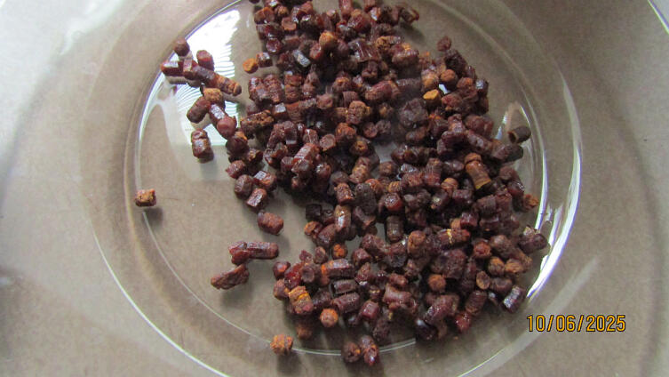 Пчелиных хлеб или перга