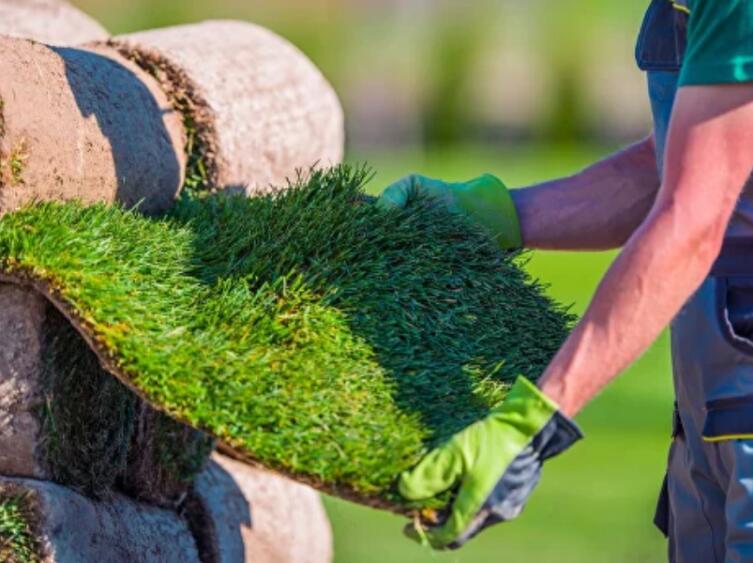 Как выбрать и уложить рулонный газон, чтобы не пожалеть через год