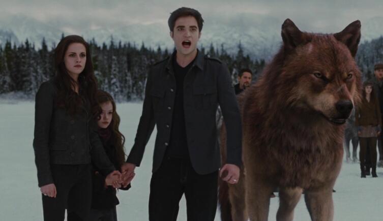 Человек и волк: существует ли мистическая связь на самом деле?