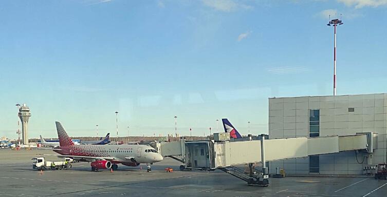 Все, решено. Лечу. Чартерным рейсом из Пулково