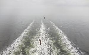 Одна из жемчужин Русского Севера – Соловецкий монастырь 