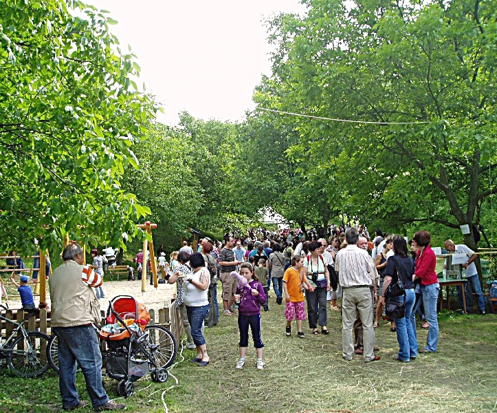 Фестиваль был организован в небольшой ложбине &mdash; долине Юлиана