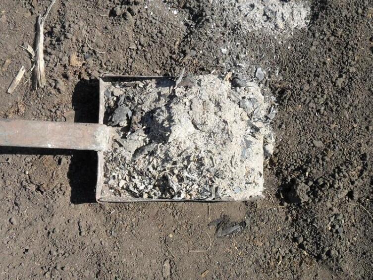 Зола из печки - отличное удобрение!