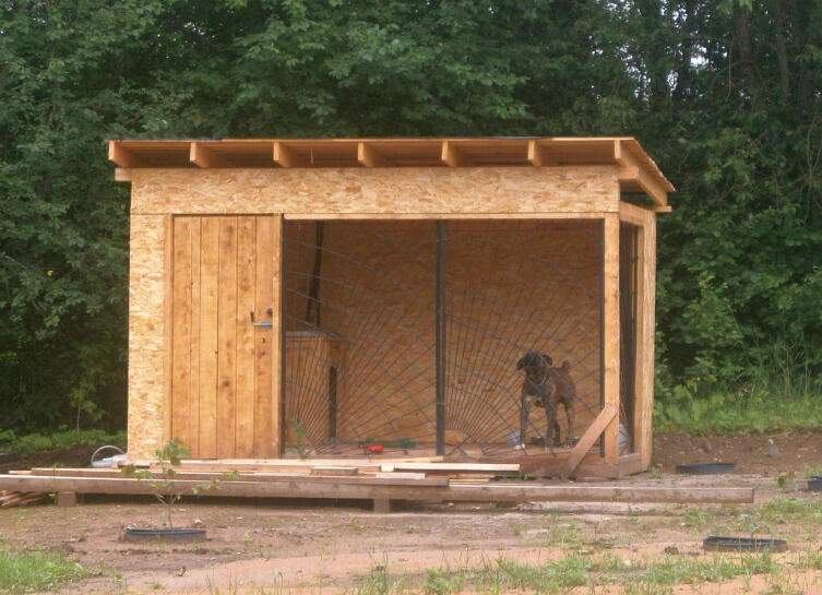Домик или вольер. Как содержать собаку на даче? Домик или вольер. Как содержать собаку на даче?