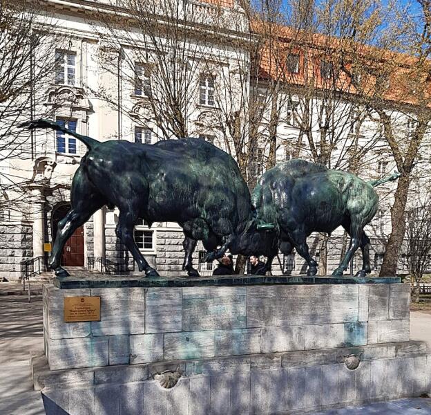 Скульптура Августа Гауля «Борющиеся зубры» более известна среди коренных калининградцев под названием «Быки»