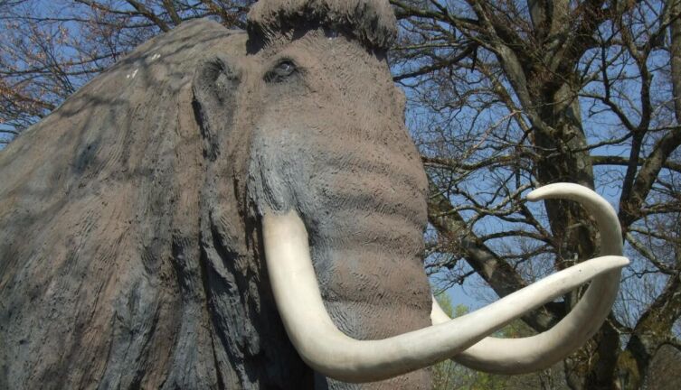 Где есть памятники мамонтам?
