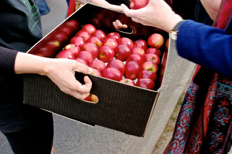 Каким образом можно запасти яблоки?