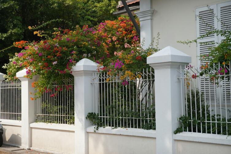 Как выбрать забор, который защитит, но не испортит участок?