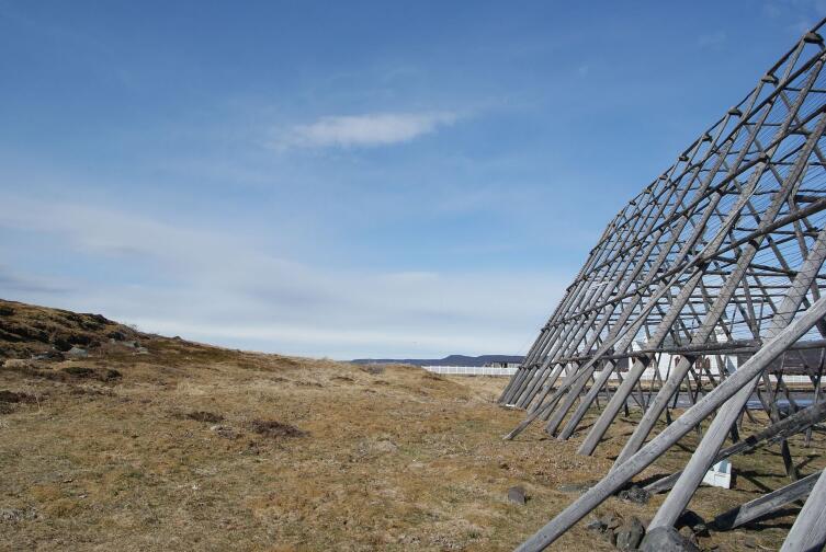 Сушилка для вяления вблизи