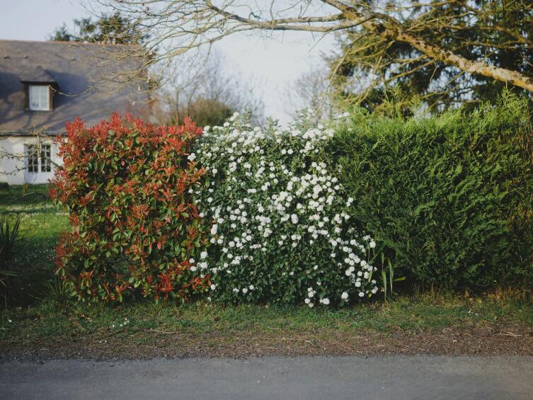 Как выбрать забор, который защитит, но не испортит участок?