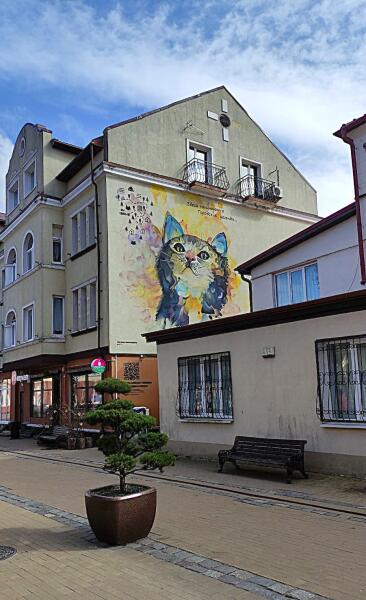 Кошачьих муралов в Зеленоградске, действительно, очень много!