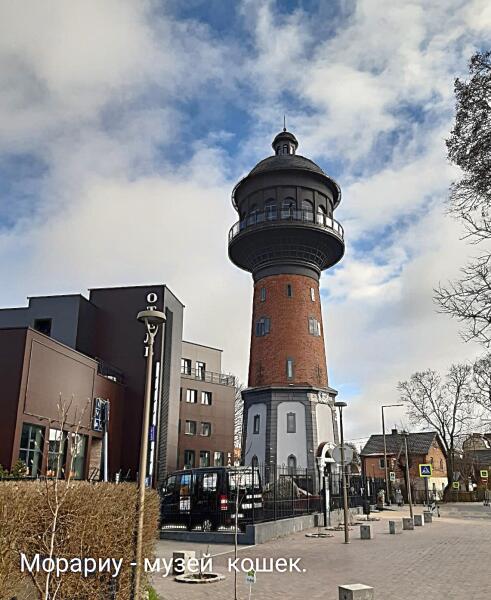 В «Мурариуме» собрана самая крупная в России частная коллекция картин, книг, статуэток, игрушек, посвященных кошкам