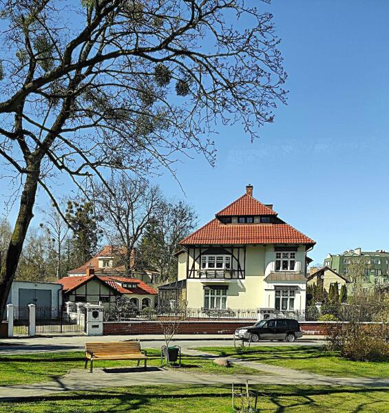 Вилла Шмидта. На переднем плане&nbsp;&mdash; дерево с омелой