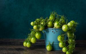 Креативная
кухня. Что можно приготовить из
зелёных помидоров?