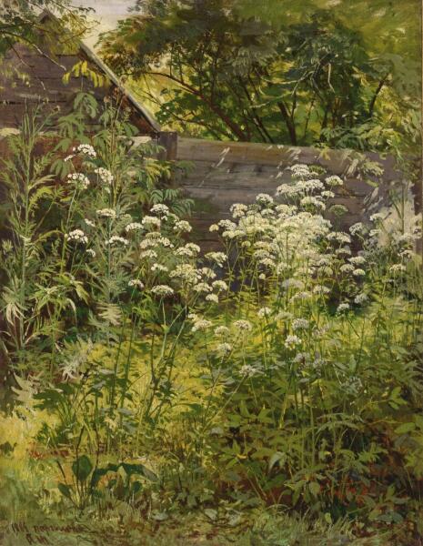 Тени прошлого. Как живут и уходят люди и дома?