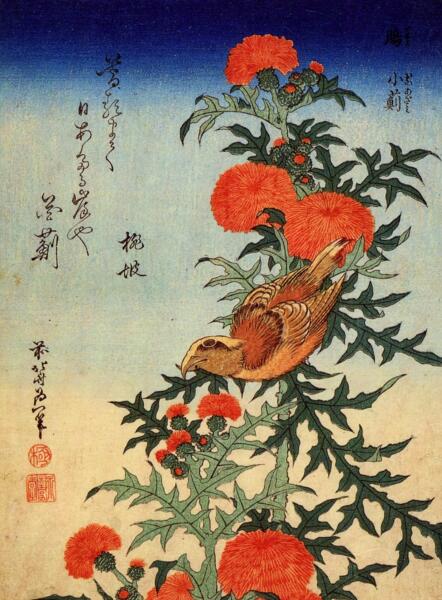 В мире птиц. Почему клёсты выводят птенцов в холода?