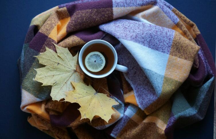 Цвета осени: как природа диктует палитру моды и интерьера? Цвета осени: как природа диктует палитру моды и интерьера?