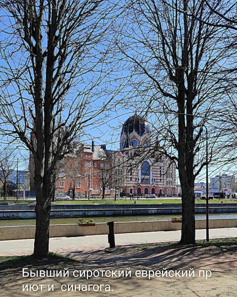 Синагога. Вид с Острова Канта. Синагога. Вид с Острова Канта.