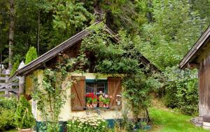 Травмы в быту:
почему случаются, как их избежать и
оказать первую помощь?