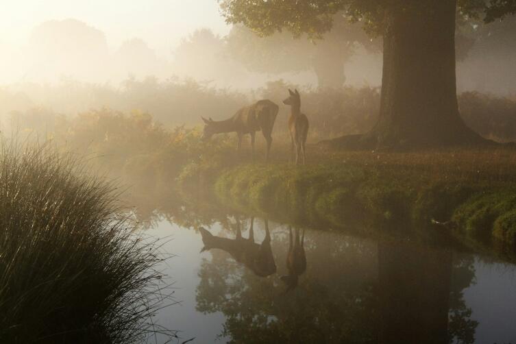 Чем отличается осень от других времён года?