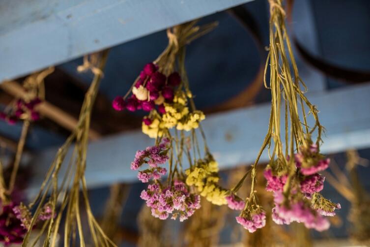 Композиции из сухоцветов: как собрать и высушить красиво?