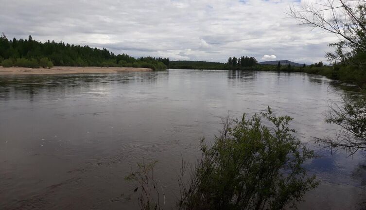 Вид на верхнее течение реки в окрестностях Новой Чары