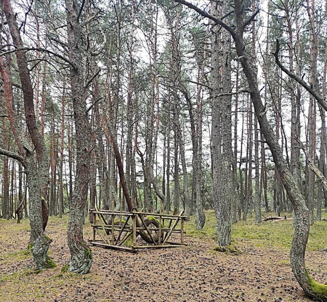 Подтверждаю: действительно, «проход запрещен».