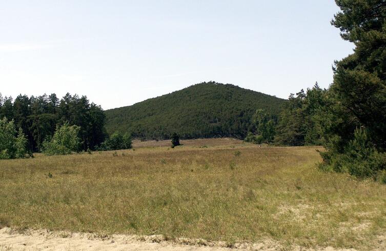 Дюна (гора) Ветцекруго, самая высокая на Куршской косе