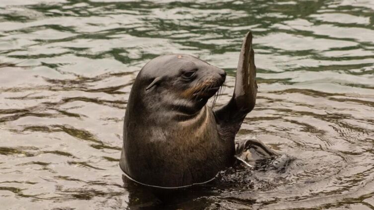 Знаете ли вы основные правила этикета?