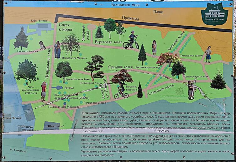 Парк имени Морица Беккера. Карта-схема Парк имени Морица Беккера. Карта-схема
