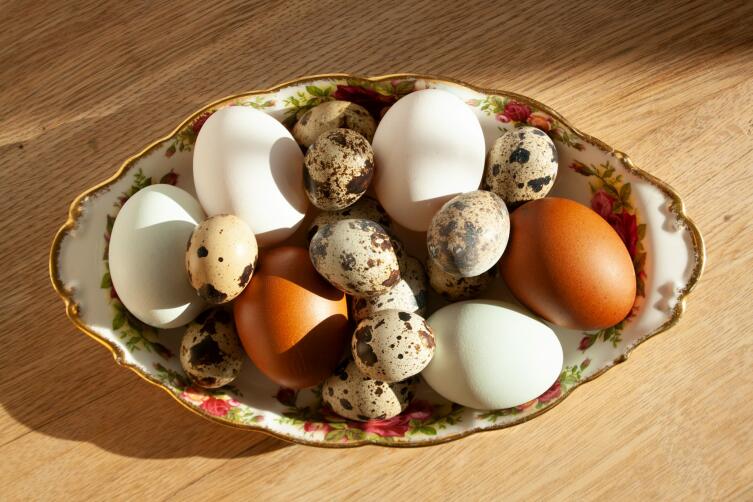 Чем полезны перепелиные яйца?