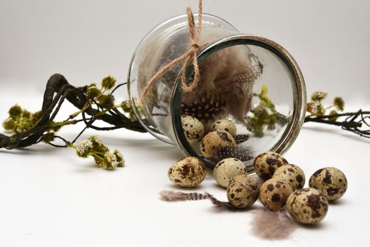 Чем полезны перепелиные яйца?