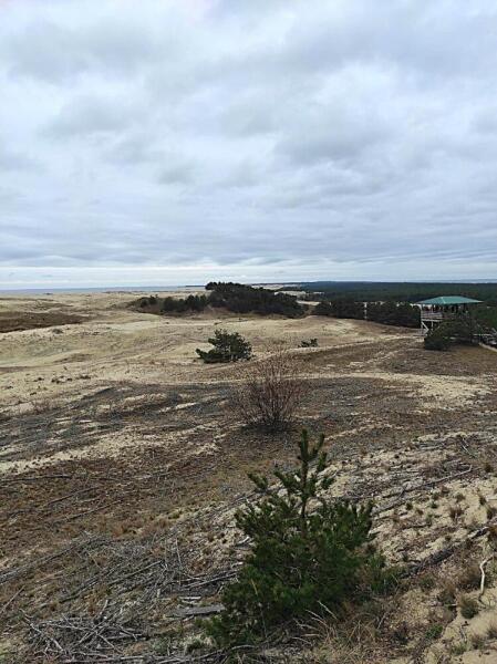 Дюны двигались открыто По косе, из века в век…