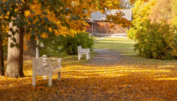 Какую роль сыграла болдинская осень в творчестве Пушкина?