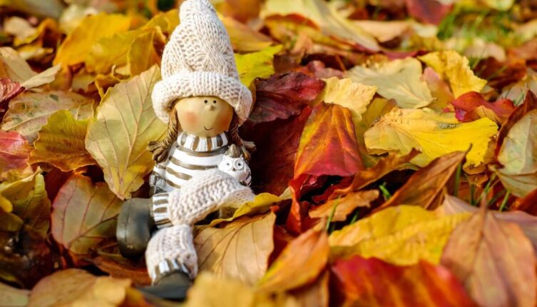 Тайна осеннего разноцветья: почему листья меняют цвет?