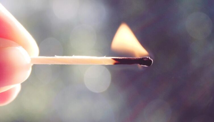 Почему не следует сжигать опавшие листья?