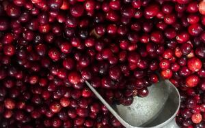 Какие продукты
помогут укрепить иммунитет в сезон
простуд?