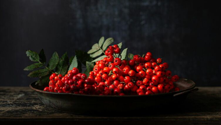 Осень и вкус горечи: почему она нужна человеку?