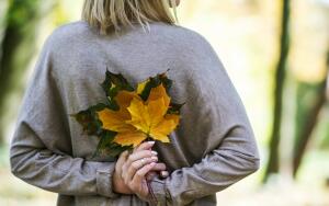 Осень. Что мы знаем о ней — календарной, астрономической, климатической и «живой»?