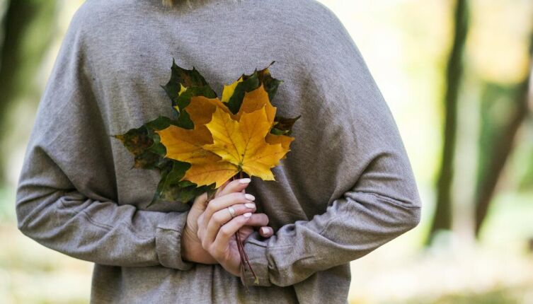 Осень. Что мы знаем о ней — календарной, астрономической, климатической и «живой»?