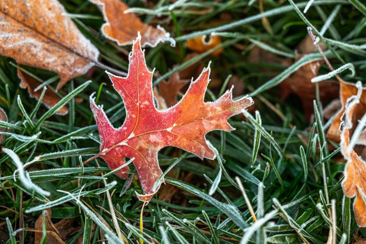 Осень. Что мы знаем о ней — календарной, астрономической, климатической и «живой»? Осень. Что мы знаем о ней — календарной, астрономической, климатической и «живой»?