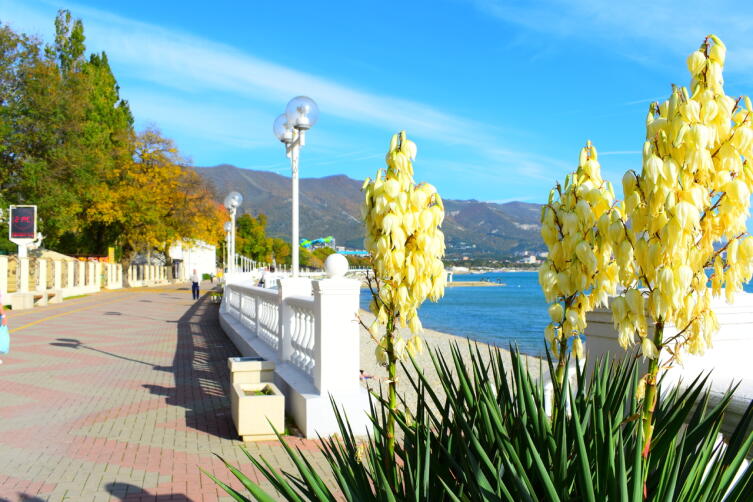 Пионерские были и небыли. Как я побывал в Геленджике?