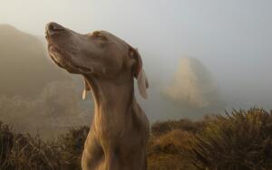 Почему осенью
всё пахнет сильнее?