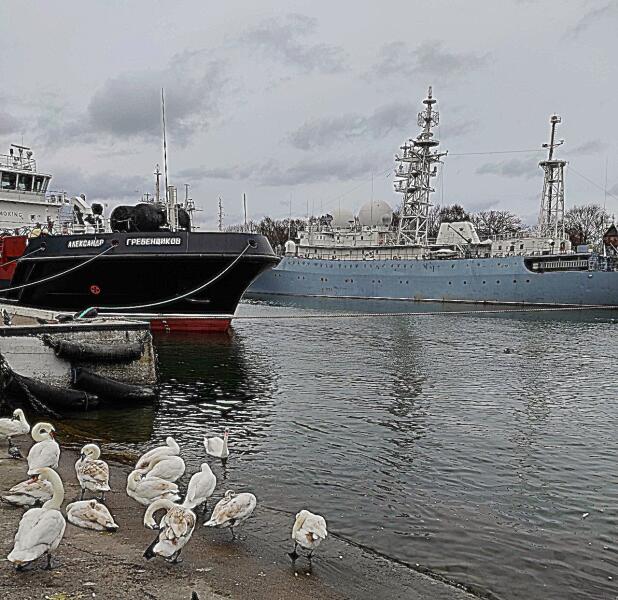 У причальной стенки острова Русский (на дальнем плане), пришвартован военный разведывательный корабль