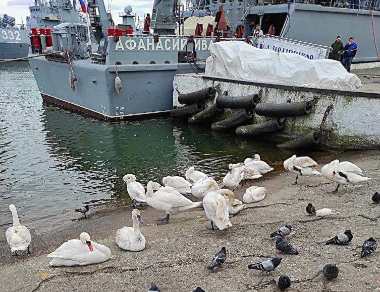 Морской тральщик «Афанасий Иванников» назван в честь Героя Советского Союза Афанасия Ивановича Иванникова (1915−1996)